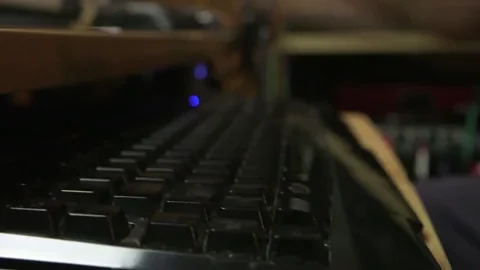 Cat typing frantically — HFT executes thousands of trades per second