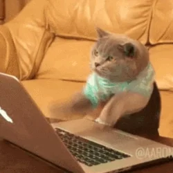 Cat wearing a small shirt frantically typing on a laptop keyboard, sitting on a couch, intense focused energy