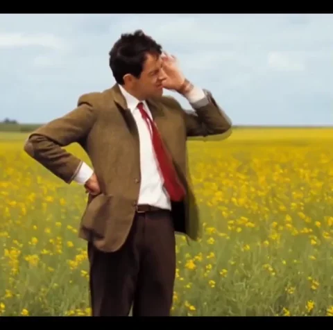 Mr. Bean dans un champ, regarde au loin — observation, recherche, confusion