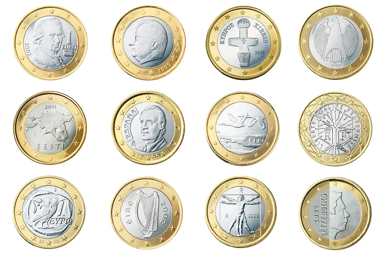 A collection of twelve different 1 Euro coins from various European countries.