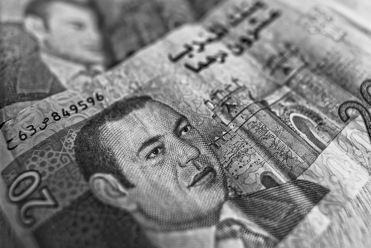 A close-up, black and white shot of a Moroccan 20 dirham banknote featuring King Mohammed VI.