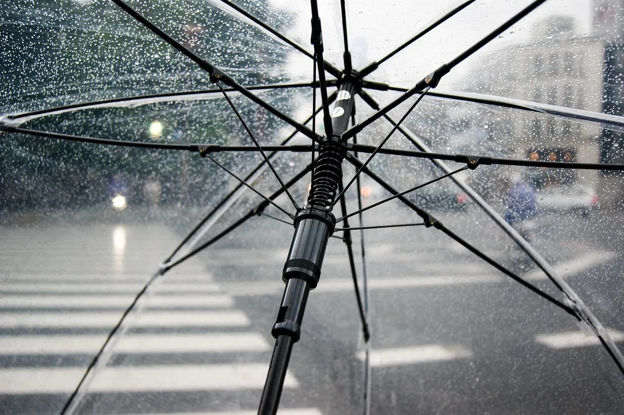 A view through a clear umbrella covered in raindrops, looking out onto a wet street.